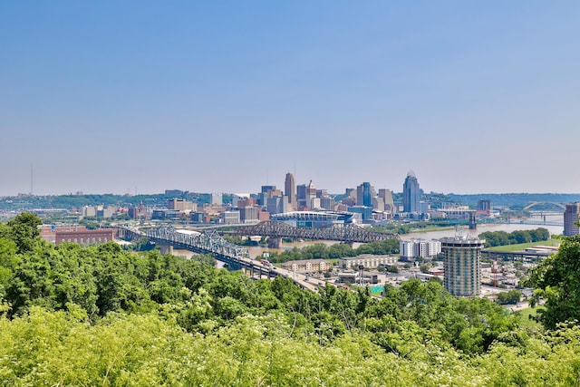 716 Western Ave, Covington, KY 41011 - city view featuring a notable bridge