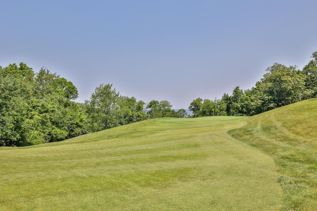 716 Western Ave, Covington, KY 41011 - surrounding community with view of golf course, a lawn, and view of wooded area