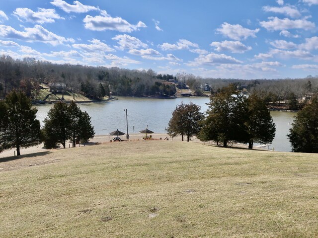 311 Elk Lake Rd, Owenton, KY 40359 - water view