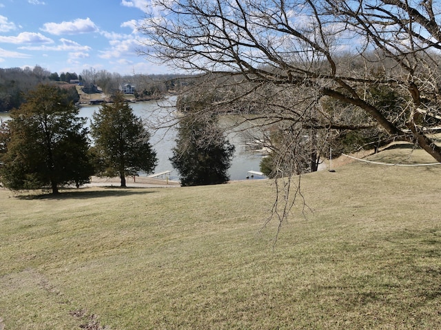 311 Elk Lake Rd, Owenton, KY 40359 - view of grassy yard with a water view
