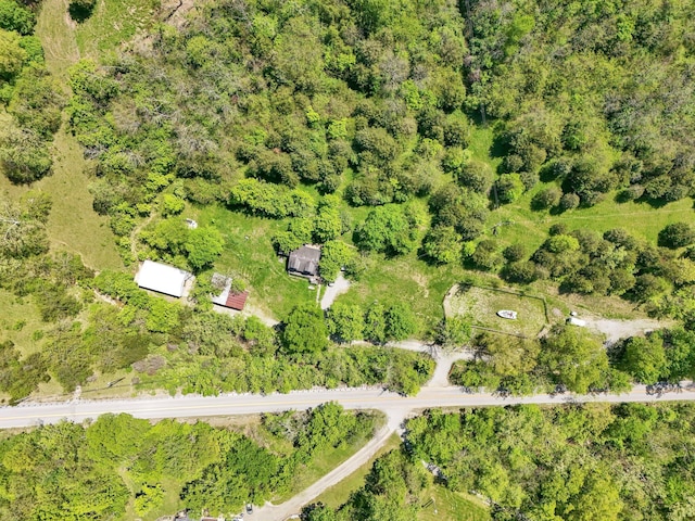 10061 Persimmon Grove Pike, Alexandria, KY 41001 - view of property location
