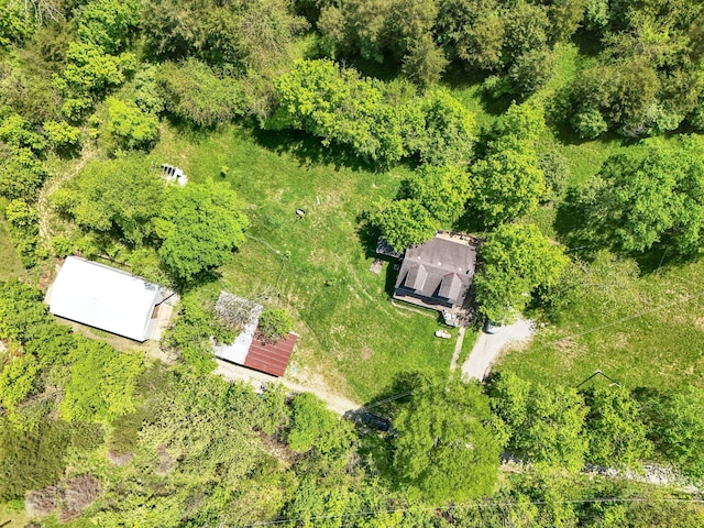 10061 Persimmon Grove Pike, Alexandria, KY 41001 - aerial view of property and surrounding area