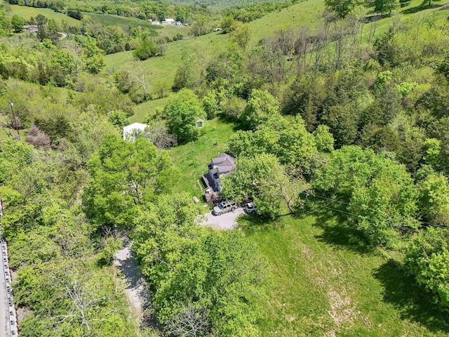 10061 Persimmon Grove Pike, Alexandria, KY 41001 - bird's eye view