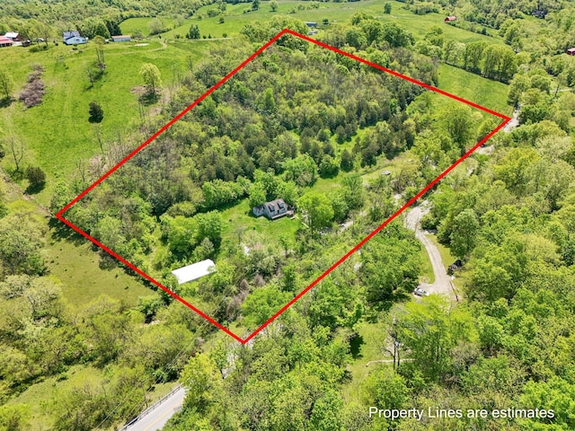 10061 Persimmon Grove Pike, Alexandria, KY 41001 - aerial view of property's location with property parcel outlined and a heavily wooded area