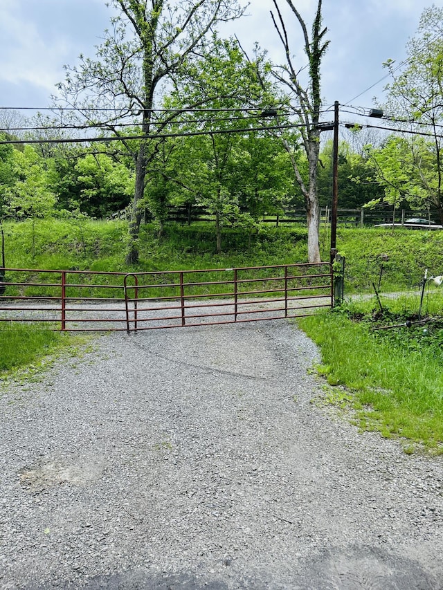 10061 Persimmon Grove Pike, Alexandria, KY 41001 - view of road featuring a gate