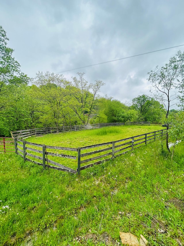 10061 Persimmon Grove Pike, Alexandria, KY 41001 - view of yard featuring a rural view