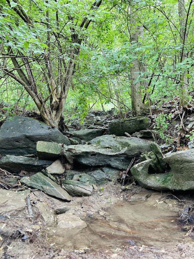 10061 Persimmon Grove Pike, Alexandria, KY 41001 - view of undeveloped land