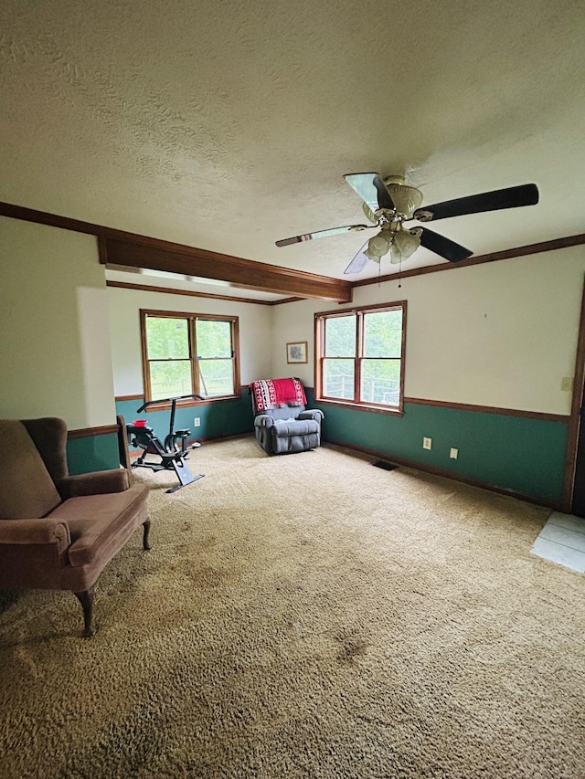 10061 Persimmon Grove Pike, Alexandria, KY 41001 - carpeted bedroom with ornamental molding, a textured ceiling, and a ceiling fan