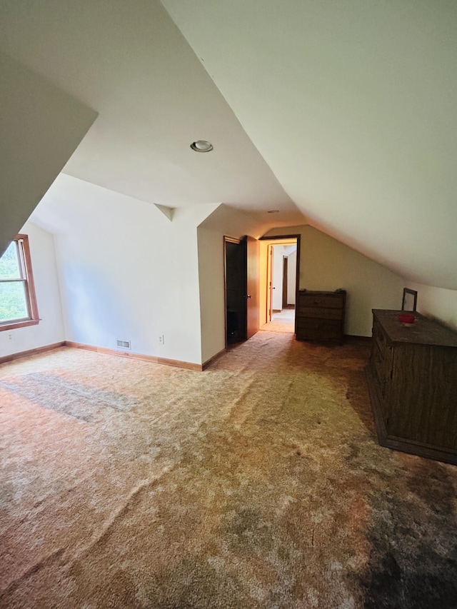 10061 Persimmon Grove Pike, Alexandria, KY 41001 - additional living space with lofted ceiling and carpet