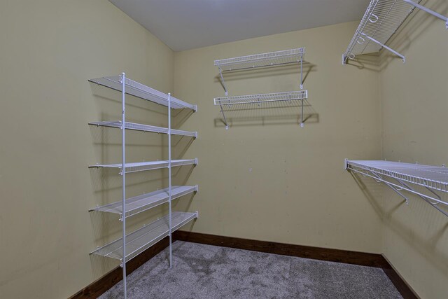 1756 Paxton Rd, Morning View, KY 41063 - photo 25