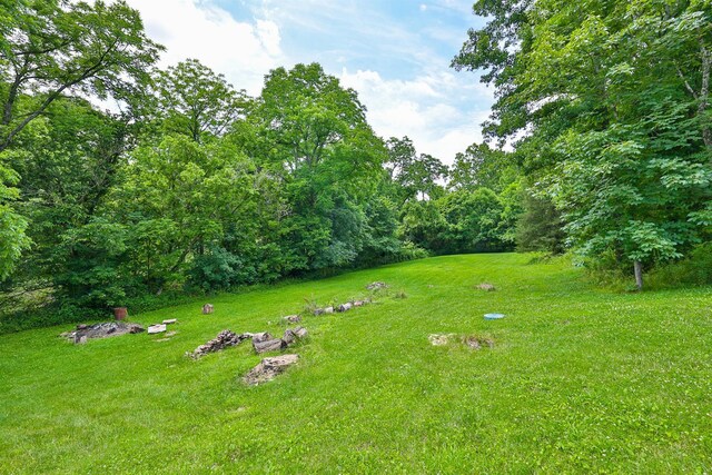 1756 Paxton Rd, Morning View, KY 41063 - photo 49