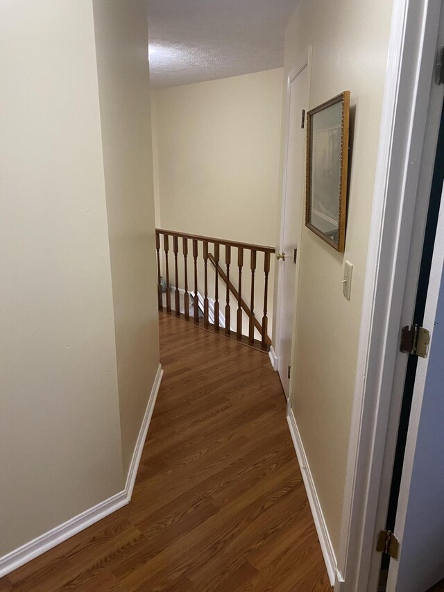 816 Horseshoe Ln, Florence, KY 41042 - photo 22