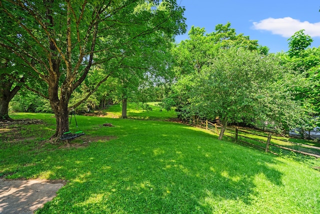 377 Linden Ave, Southgate, KY 41071 - view of yard