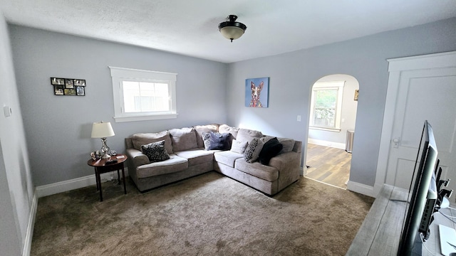 4336 Glenn Ave, Covington, KY 41015 - carpeted living room featuring arched walkways and baseboards