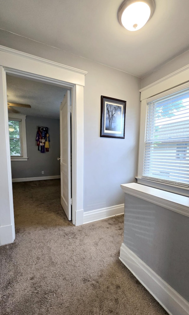 4336 Glenn Ave, Covington, KY 41015 - hall with carpet and healthy amount of natural light