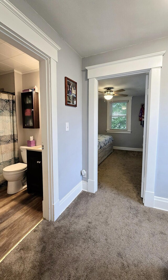 4336 Glenn Ave, Covington, KY 41015 - hallway with carpet floors and baseboards