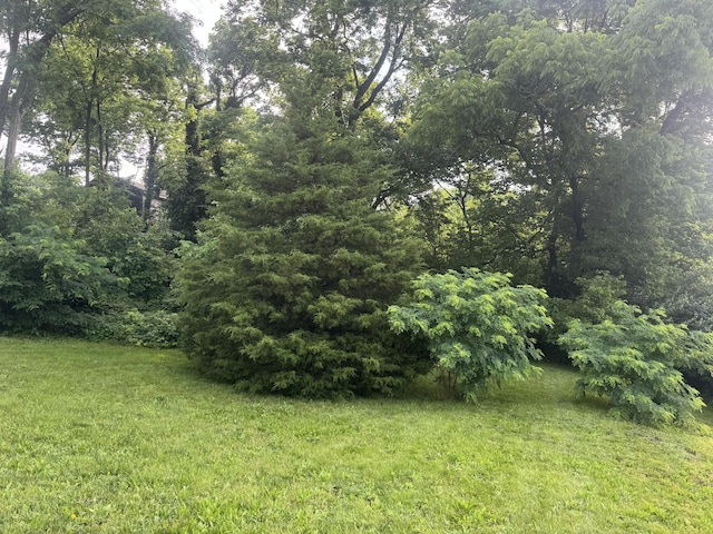 2706 Decoursey Ave, Covington, KY 41015 - view of green lawn