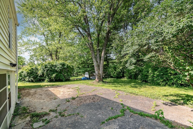 65 Beech Dr, Edgewood, KY 41017 - view of grassy yard