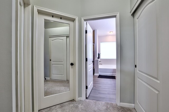 852 Flint Rdg Unit 4-302, Cold Spring, KY 41076 - hall featuring carpet flooring and baseboards