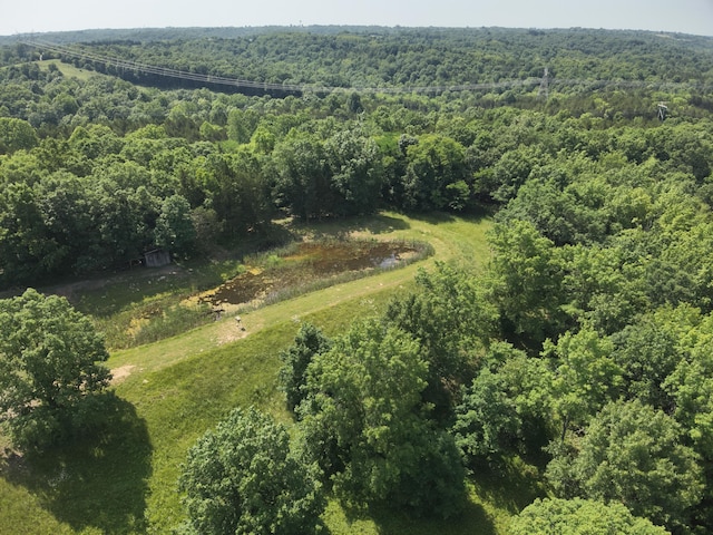 139 Old Pinhook Rd, Mount Olivet, KY 41064 - photo 6