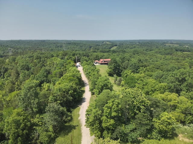 139 Old Pinhook Rd, Mount Olivet, KY 41064 - photo 5