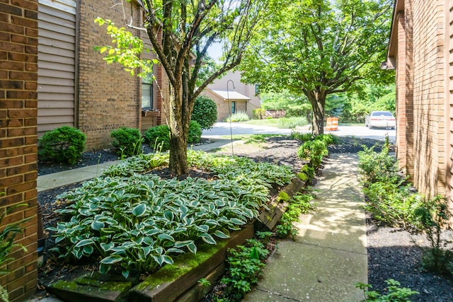 1006 Nob Hill Dr, Fort Thomas, KY 41075 - view of yard