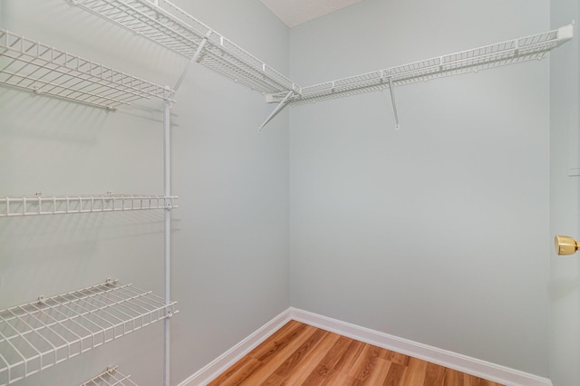 10602 Christa Ct Unit 6, Alexandria, KY 41001 - walk in closet featuring light wood-style floors