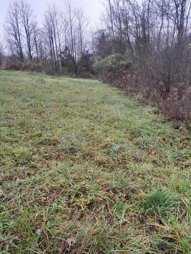 744 Neave-Milford Rd, Falmouth, KY 41040