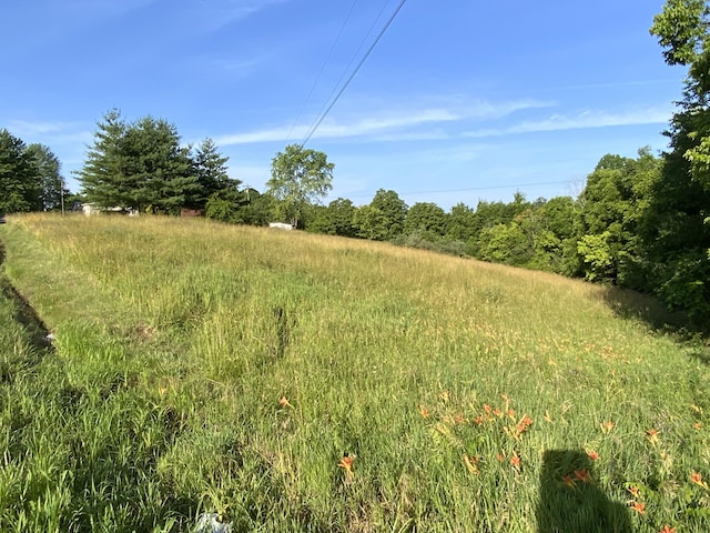 744 Neave-Milford Rd, Falmouth, KY 41040