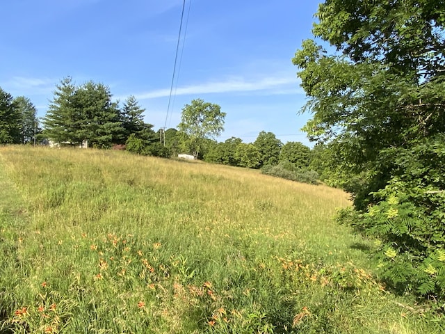 744 Neave-Milford Rd, Falmouth, KY 41040