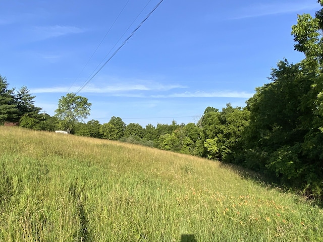 744 Neave-Milford Rd, Falmouth, KY 41040