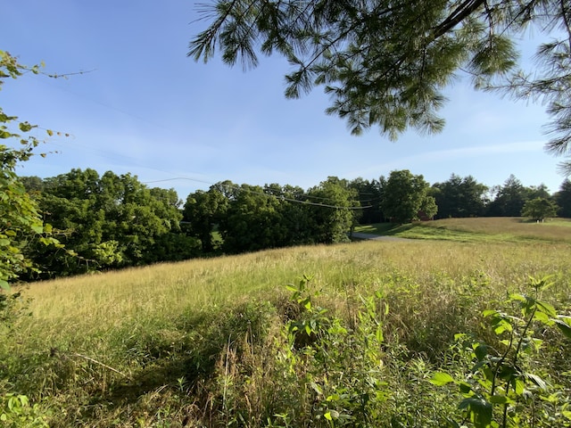 744 Neave-Milford Rd, Falmouth, KY 41040
