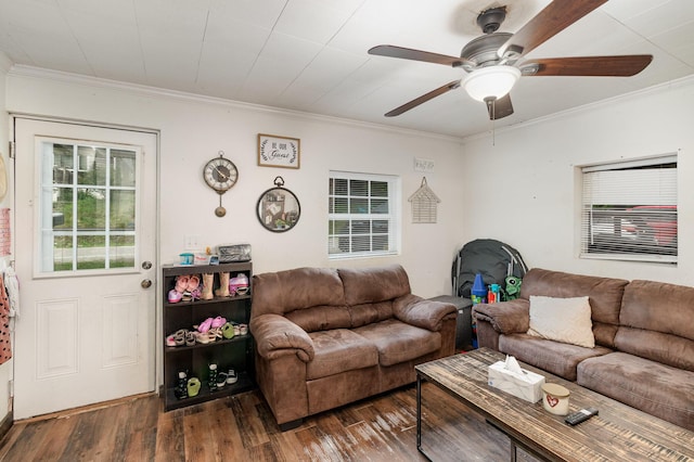 9294 Marshall Rd, Covington, KY 41015 - living room with a ceiling fan, wood finished floors, and crown molding