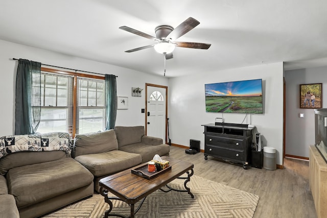 50 Russell St, Florence, KY 41042 - living area with light wood finished floors and a ceiling fan