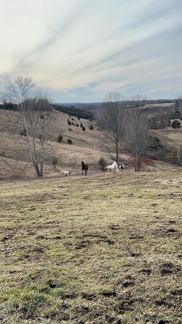 2200 Leaning Oak Rd, Corinth, KY 41010