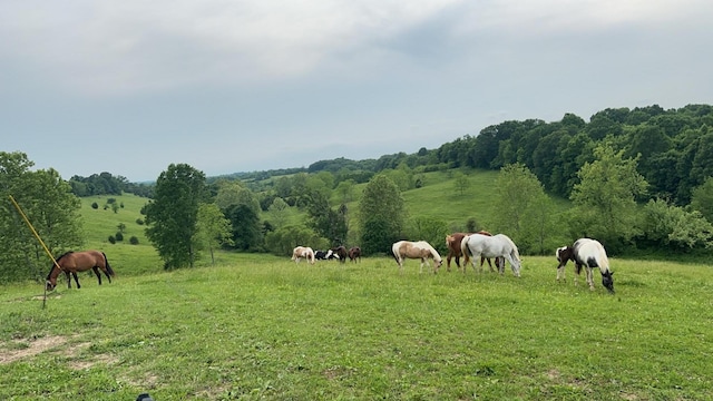 2200 Leaning Oak Rd, Corinth, KY 41010