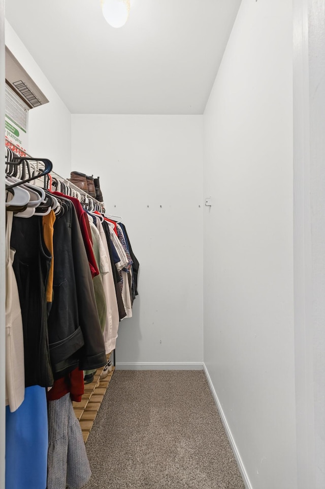 1212 Leslie Marie Ct, Elsmere, KY 41018 - walk in closet featuring carpet