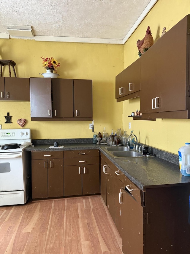 3057 Front St, Petersburg, KY 41080 - kitchen with white range with electric stovetop, dark countertops, light wood-type flooring, a textured ceiling, and dark brown cabinets
