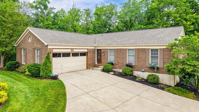 1670 Brierwood Ct, Florence, KY 41042 - photo 1