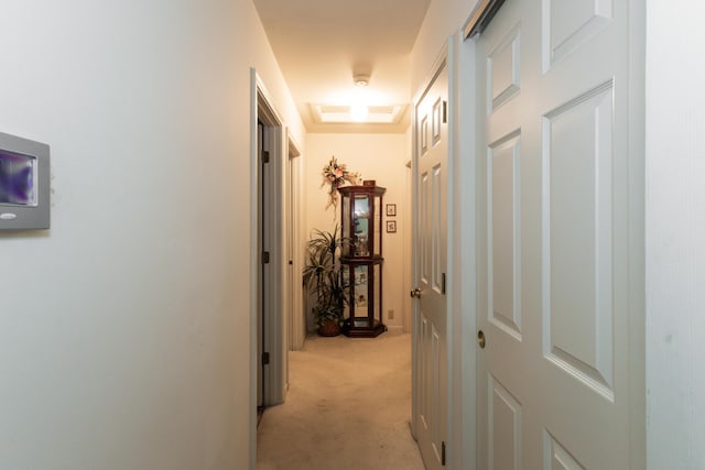 1670 Brierwood Ct, Florence, KY 41042 - photo 20