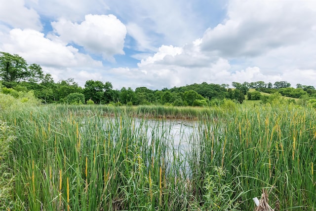1041 Kidwell Rd, Demossville, KY 41033 - water view