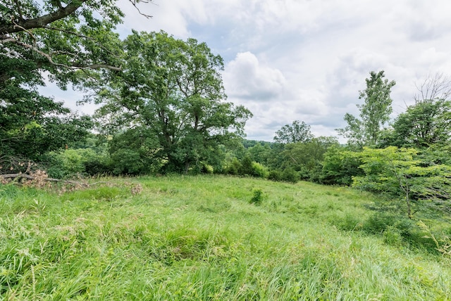 1041 Kidwell Rd, Demossville, KY 41033 - view of local wilderness