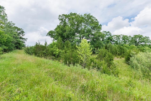 1041 Kidwell Rd, Demossville, KY 41033 - view of wooded area