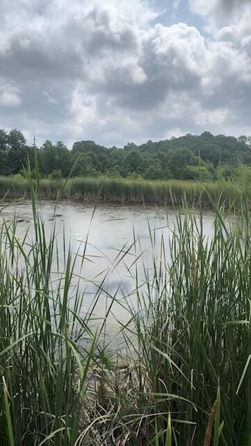 1041 Kidwell Rd, Demossville, KY 41033 - water view