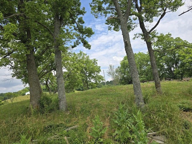 489 Kelly Rd, Demossville, KY 41033