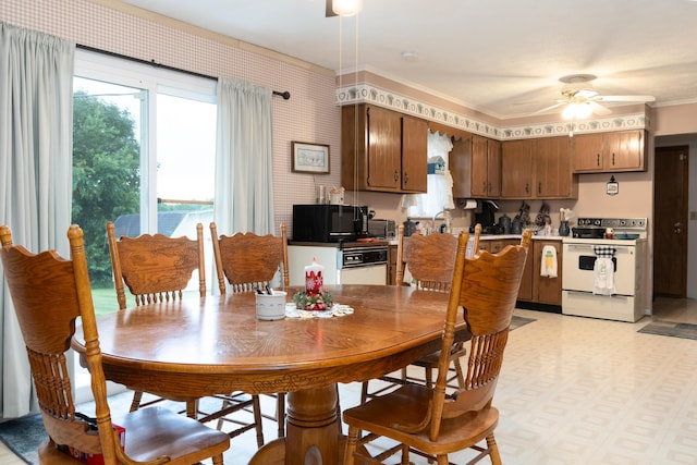 21 New Del Dr, Dry Ridge, KY 41035 - photo 8