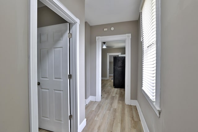 1508 Holman Ave, Covington, KY 41011 - corridor featuring light wood finished floors and baseboards