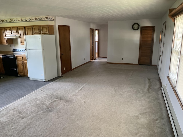 165 Davis Lake Rd, Owenton, KY 40359 - unfurnished living room with a baseboard heating unit, carpet floors, and a textured ceiling