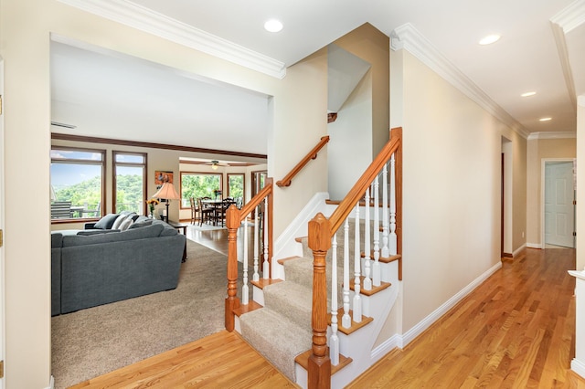 2316 Pinnacle Ct, Hebron, KY 41048 - stairs featuring crown molding, wood finished floors, ceiling fan, and recessed lighting