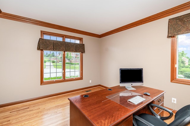 2316 Pinnacle Ct, Hebron, KY 41048 - home office with ornamental molding, healthy amount of natural light, and light wood-type flooring